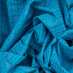 Sky Blue Handloom Kanchi Cotton Saree With Checks-Sky Blue