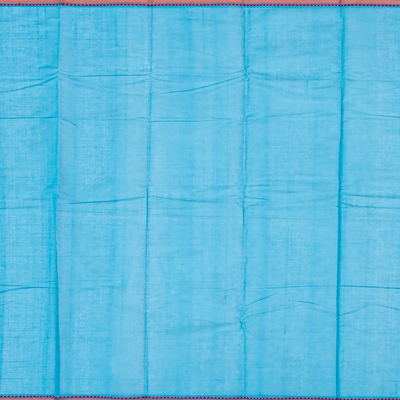 Sky Blue Handloom Kanchi Cotton Saree With Checks-Sky Blue