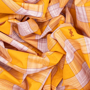 Yellow Handloom Kadapa Cotton Saree With Checks-Yellow