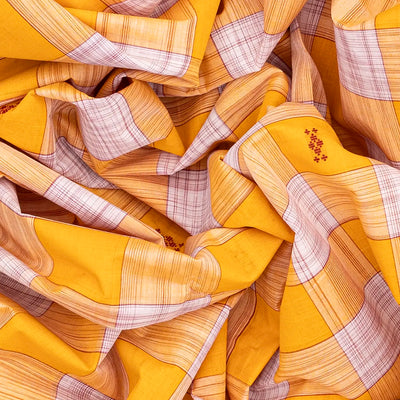 Yellow Handloom Kadapa Cotton Saree With Checks-Yellow