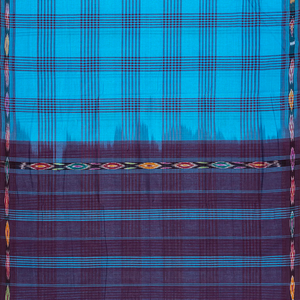 Light Blue Handloom Kadapa Cotton Saree With Checks-Light Blue