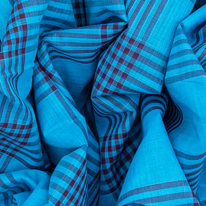 Light Blue Handloom Kadapa Cotton Saree With Checks-Light Blue