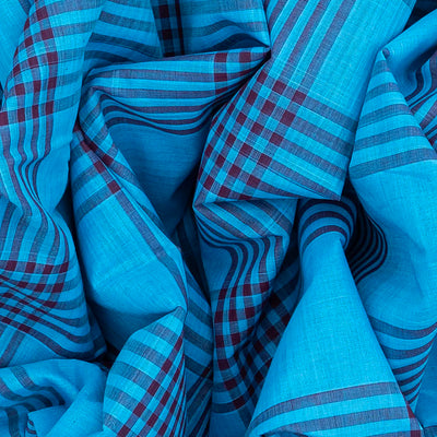 Light Blue Handloom Kadapa Cotton Saree With Checks-Light Blue