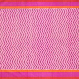 Beige Handloom Kota Silk Saree With Meenakari Bird Motifs-Beige