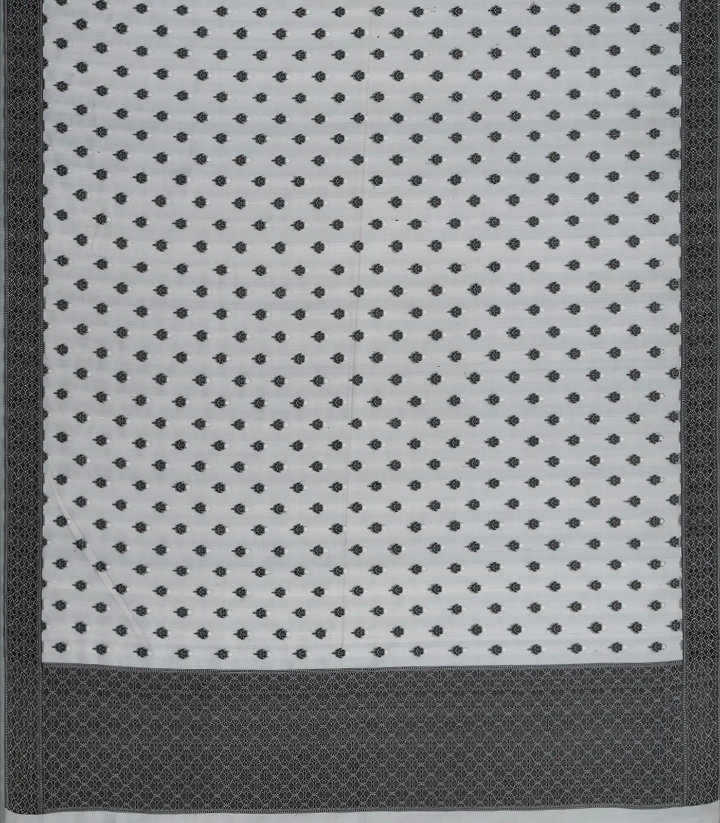 Grey Handwoven Banarasi Organza Silk Saree With Floral Motifs-Grey