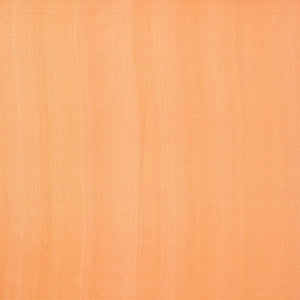 Red Handwoven Banarasi Organza Silk Saree With Floral Motifs-Red