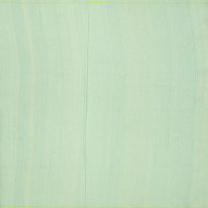 Aquamarine Handwoven Banarasi Organza Silk Saree With Chevron Motifs-Aquamarine