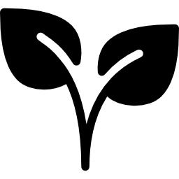 Beyond Type 1