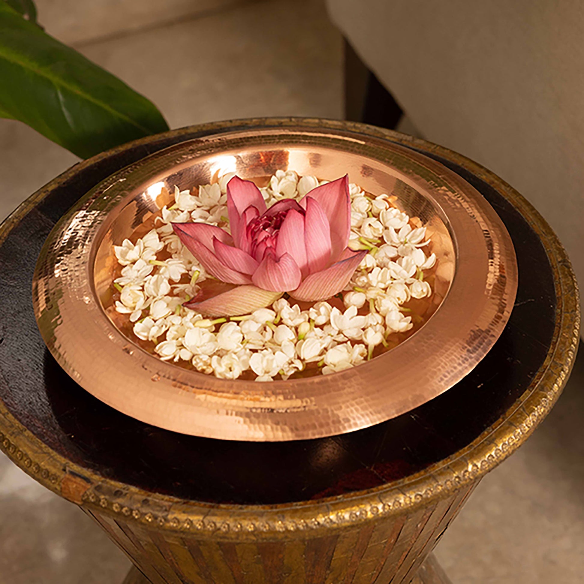 Brown - Konkan Copper Urli