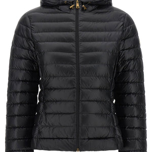 Moncler Igelhood Down Jacket