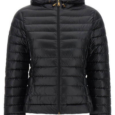Moncler Igelhood Down Jacket