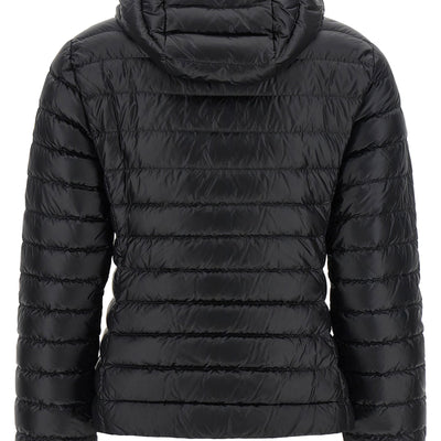 Moncler Igelhood Down Jacket