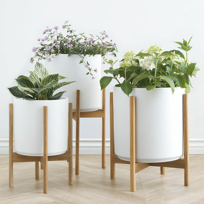 Ceramic Planter Pot + Teak Stand by LBE Design