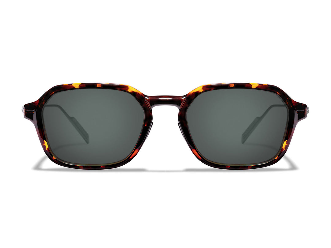 Lewis Sunglasses Outlet