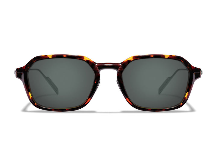 Lewis Sunglasses Outlet