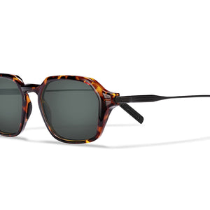 Lewis Sunglasses Outlet