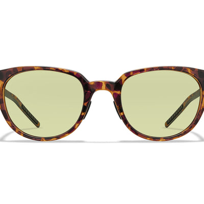 Frame Color