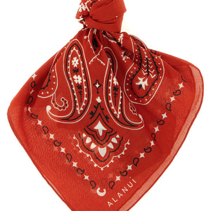 Alanui Bandana Paisley