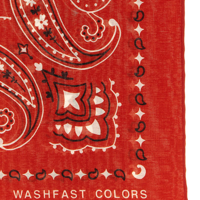 Alanui Bandana Paisley