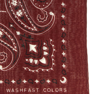 Alanui Bandana Paisley