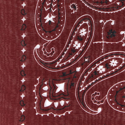 Alanui Bandana Paisley