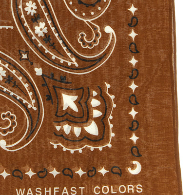 Alanui Bandana Paisley