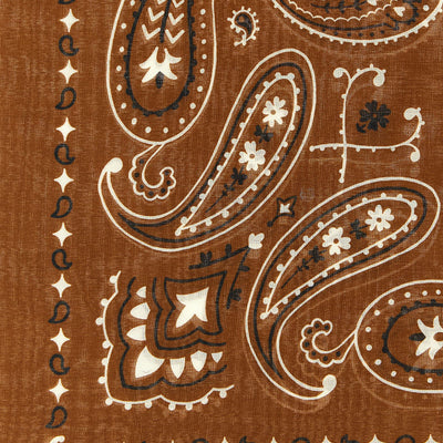 Alanui Bandana Paisley