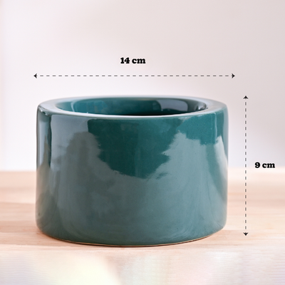 Lilac Stories Bundle - Dark green