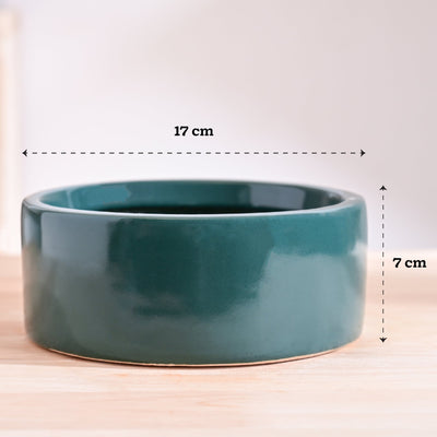 Lilac Stories Bundle - Dark green