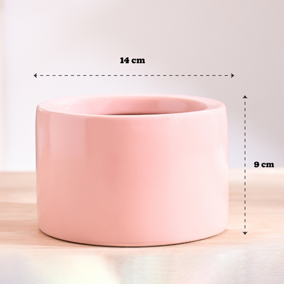 Lilac Stories Bundle - Light Pink