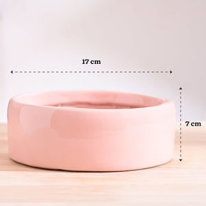 Lilac Stories Bundle - Light Pink