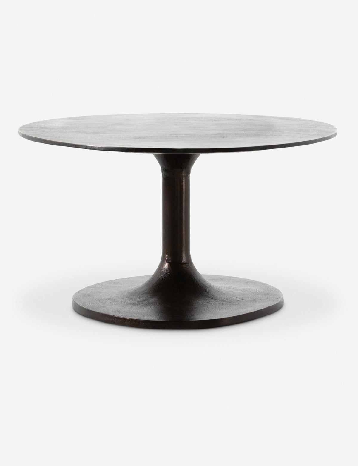 Inga Indoor / Outdoor Oval Coffee Table