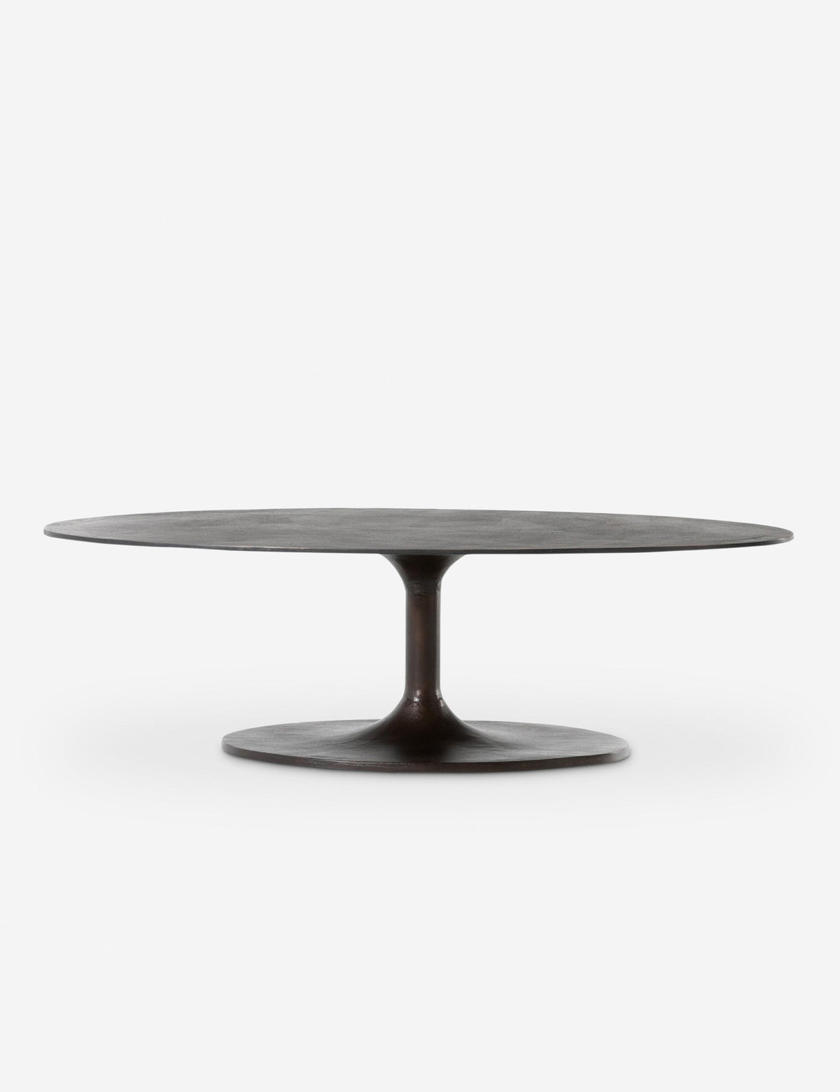 Inga Indoor / Outdoor Oval Coffee Table