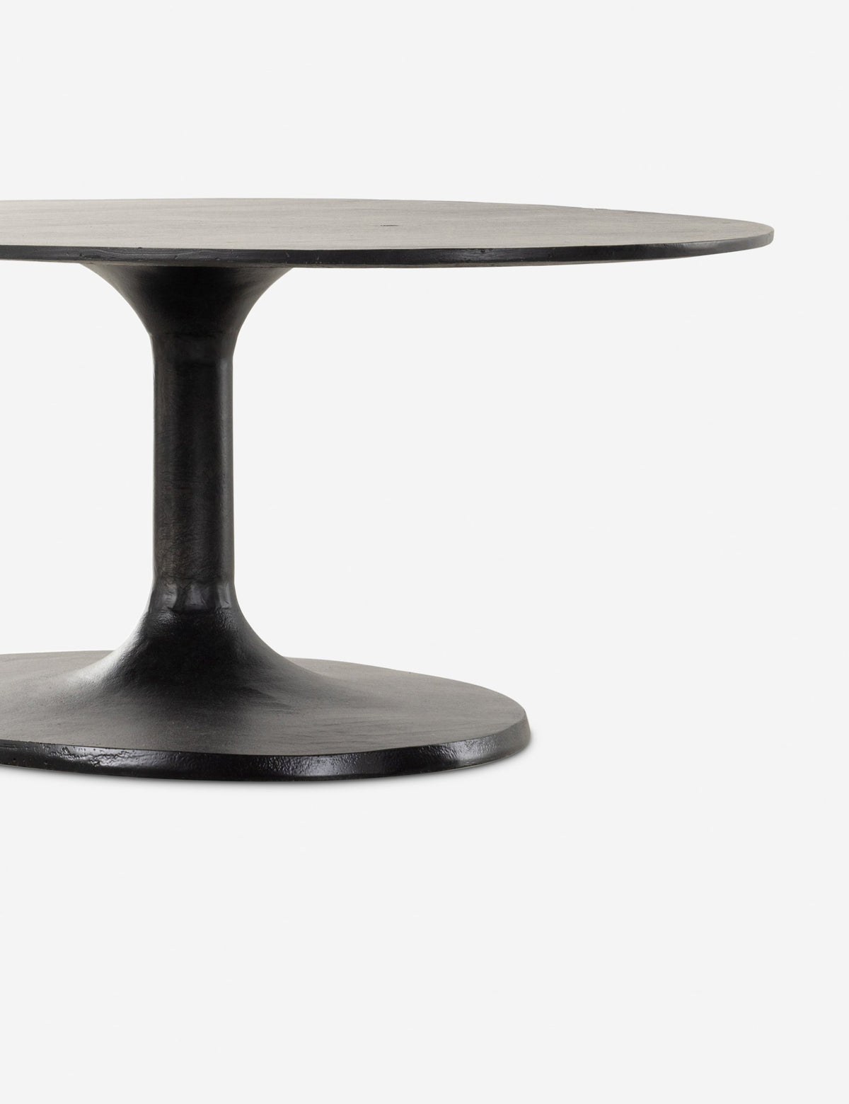 Inga Indoor / Outdoor Oval Coffee Table
