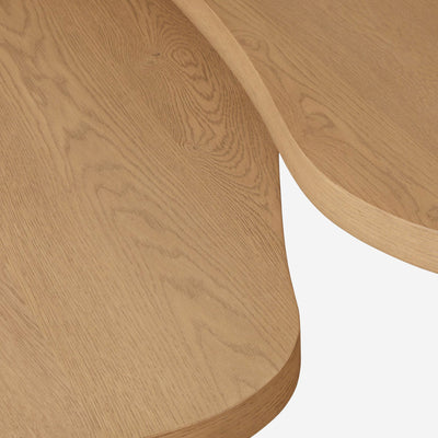 Heiko Nesting Coffee Table (Set of 2)