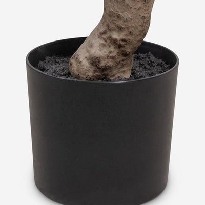 Faux Aralia Tree