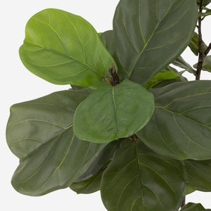 Faux Fiddle Leaf Tree