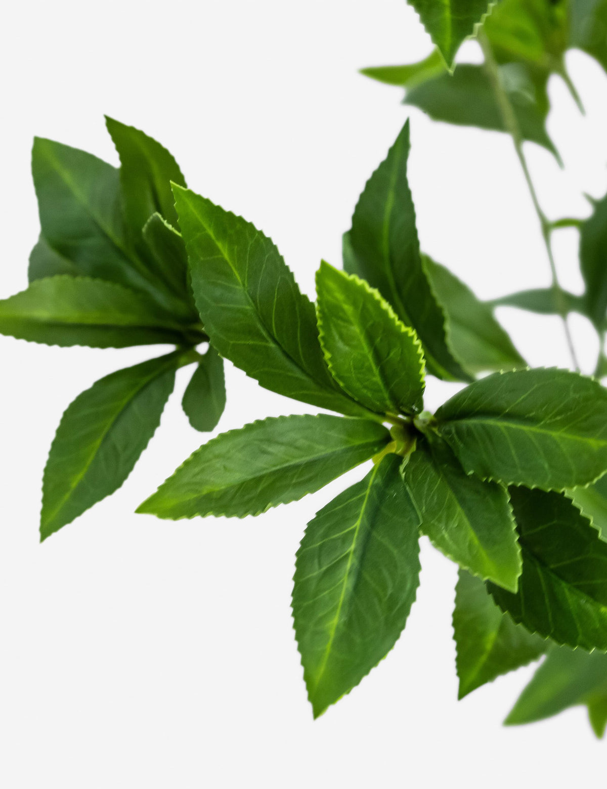 Faux Pieris Tree