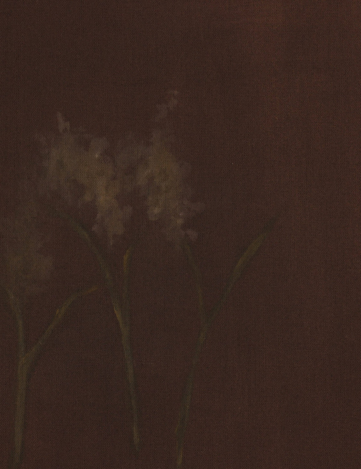 Bloom III Wall Art by Brittney Schulz