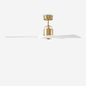 Vesa Ceiling Fan