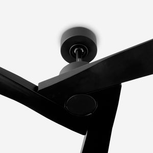 Vesa Ceiling Fan