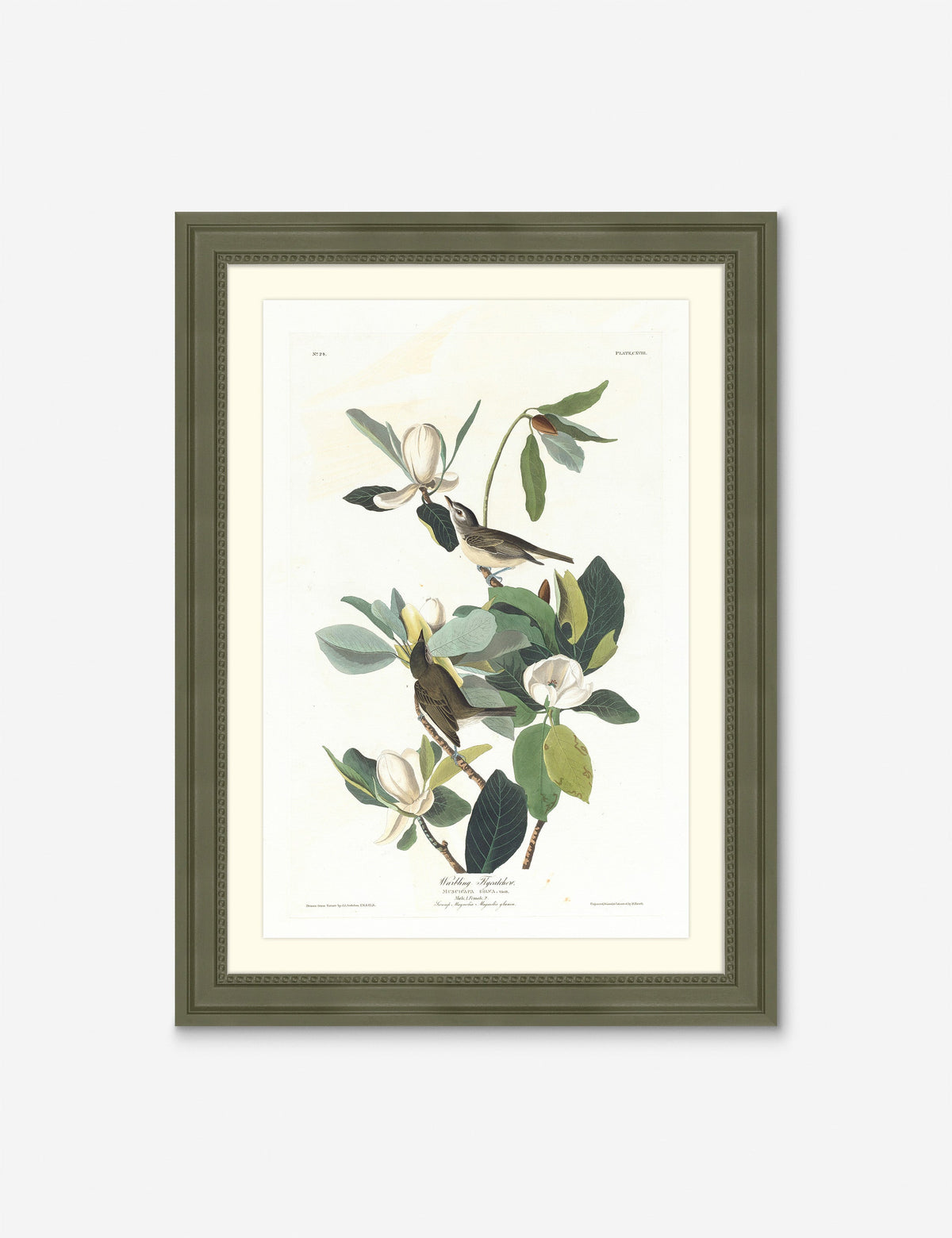 Wings of the Wild II Wall Art by Alex Zane