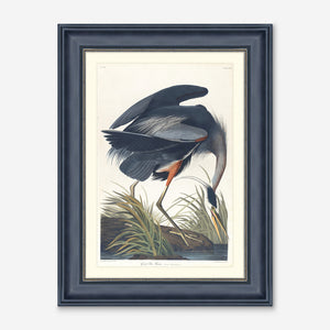 Wings of the Wild III Wall Art by Alex Zane