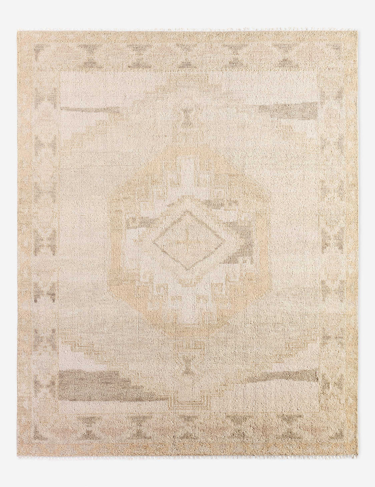 Ambretta Hand-Knotted Wool Rug