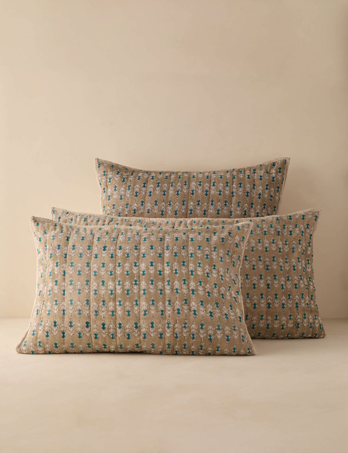 Berrien Linen Cotton Shams (Set of 2)