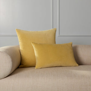 Charlotte Velvet Pillow