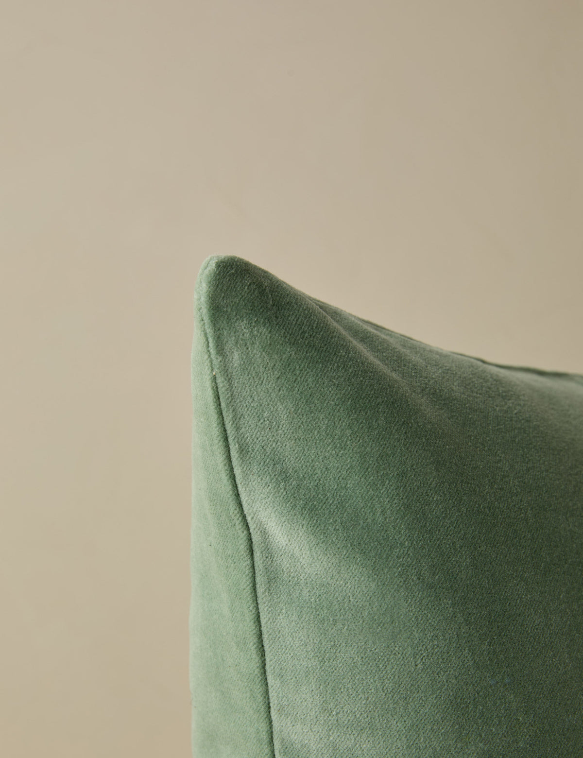 Charlotte Velvet Pillow
