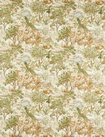 Lichen