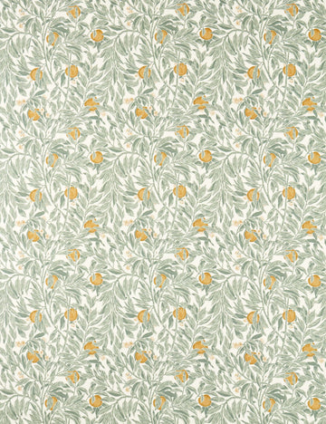 Golden and Sage