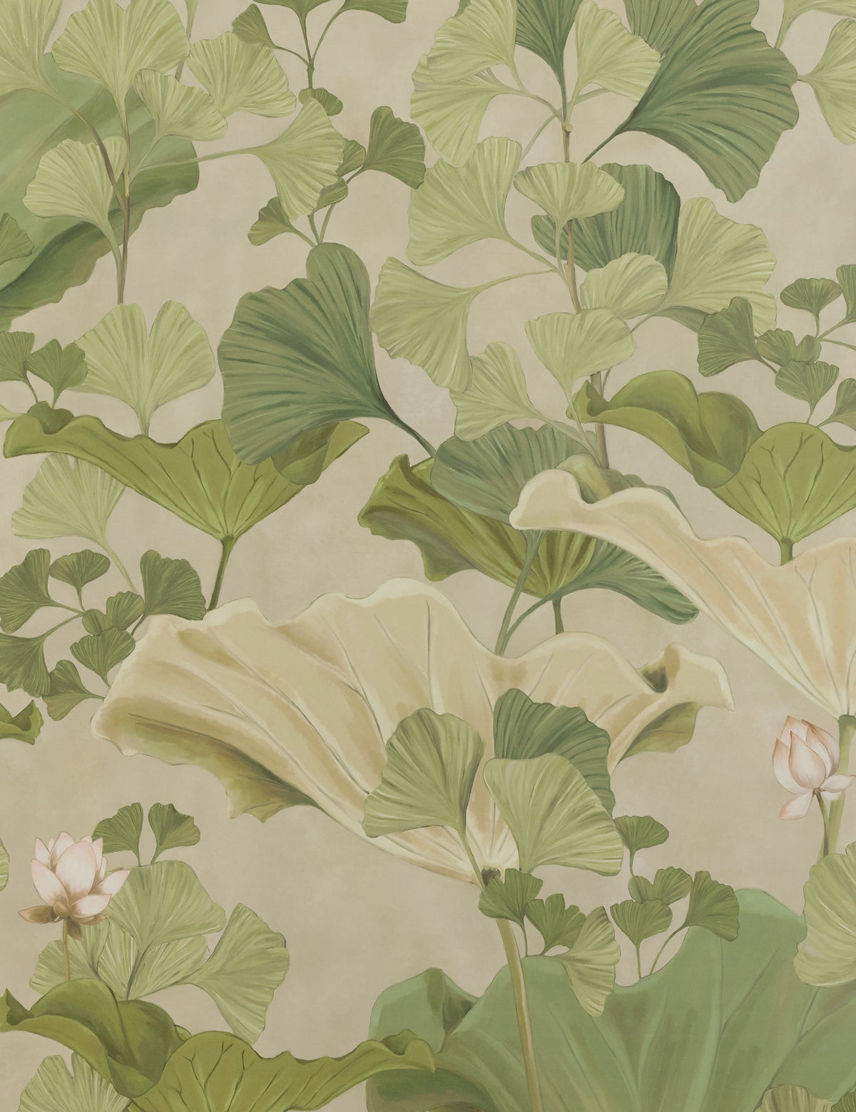 Lotus Wallpaper by Aimee Song